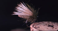 Extended Caddis - flyter som en kork