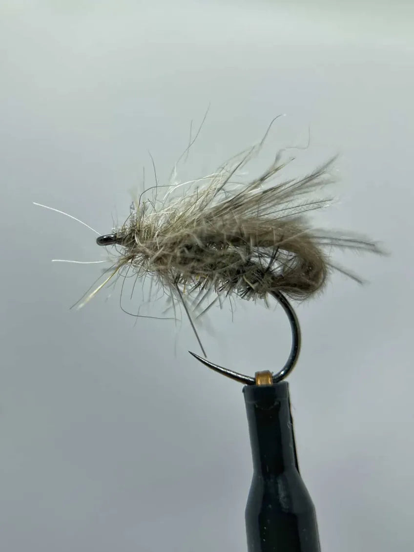 Den skandinaviska "Pitekläckaren"