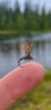Deer Hair Emerger - kläckare som levererar året runt