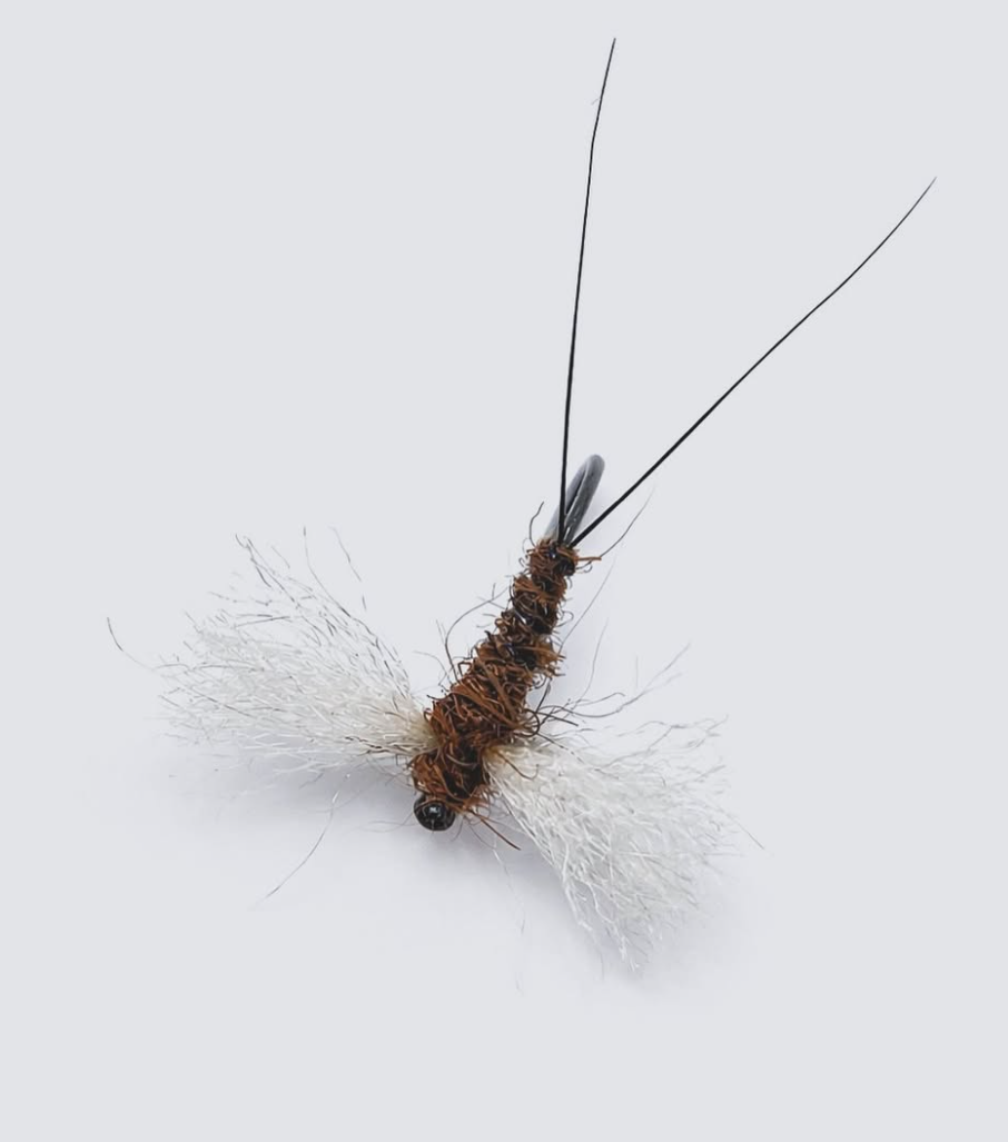 Spent Mayfly - Baetis Rhodani
