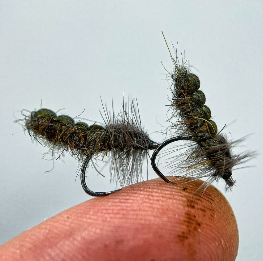 Foam Buggy Caddis - en av våra absoluta favoriter