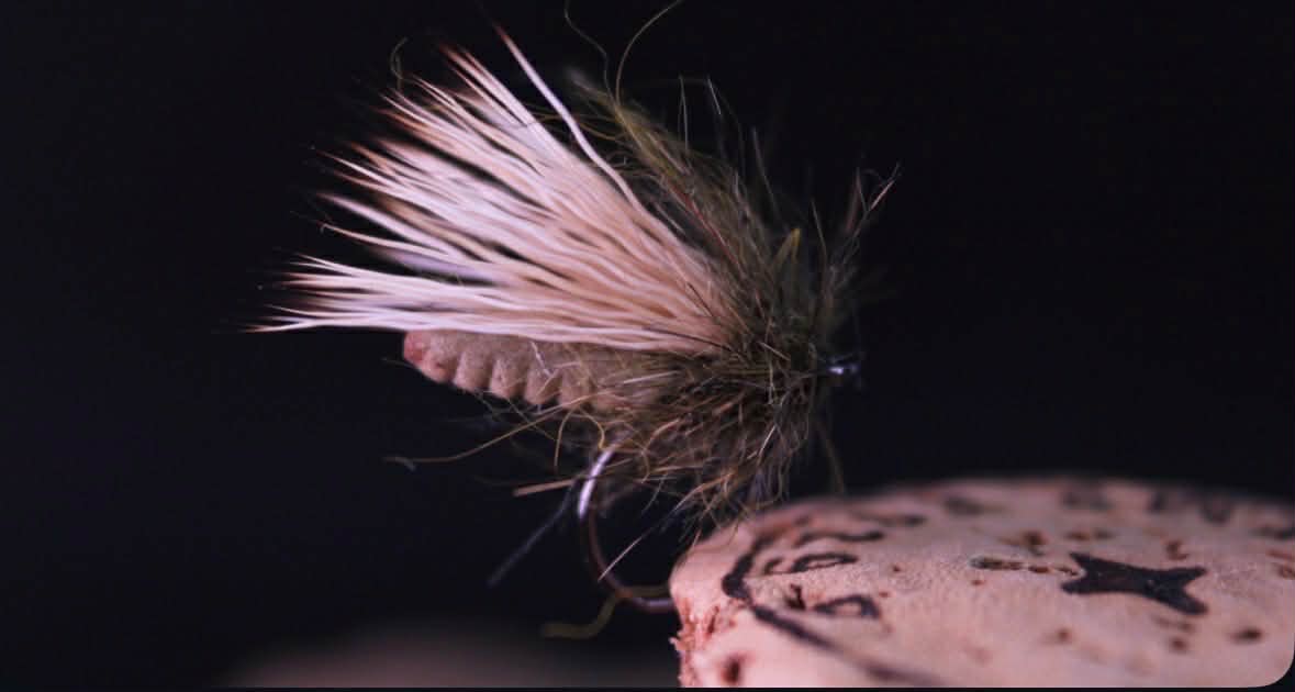 Extended Caddis - flyter som en kork