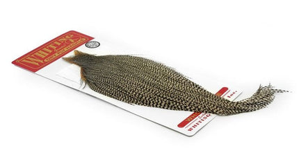 Collection image for: Nackar & Sadlar