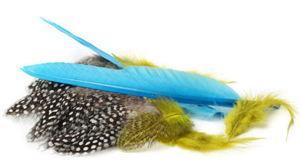 Collection image for: Hår & Fjädrar