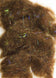 March Brown