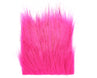 Fuscia