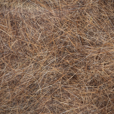 Hare’s Ultra Dub