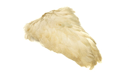 Indian Hen Saddle