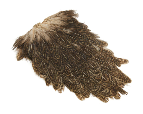 Indian Hen Saddle