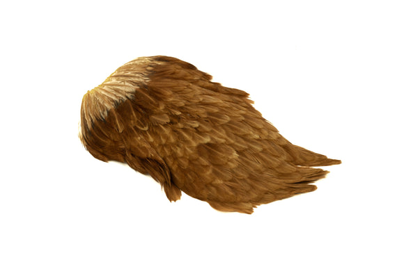 Indian Hen Saddle
