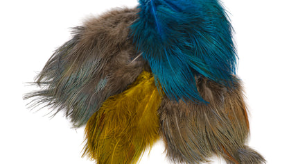 Strung Ringneck Pheasant Rump