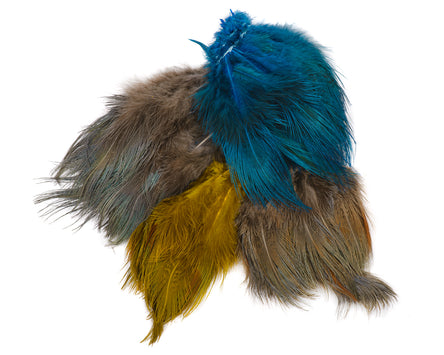 Strung Ringneck Pheasant Rump