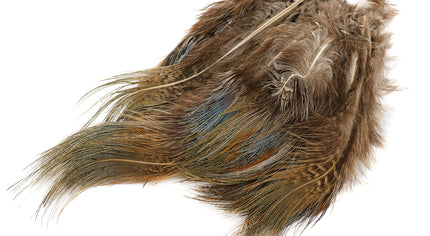 Strung Ringneck Pheasant Rump