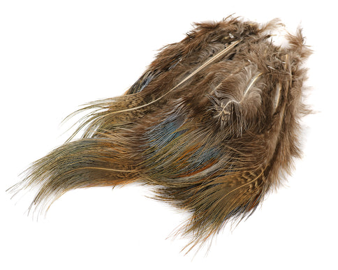 Strung Ringneck Pheasant Rump