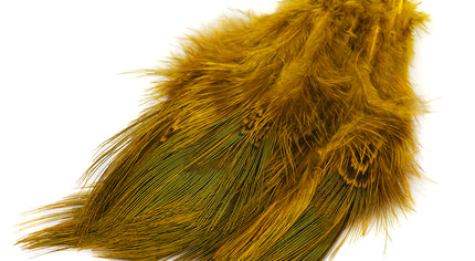 Strung Ringneck Pheasant Rump