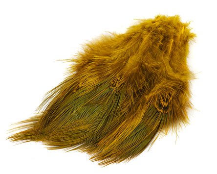 Strung Ringneck Pheasant Rump