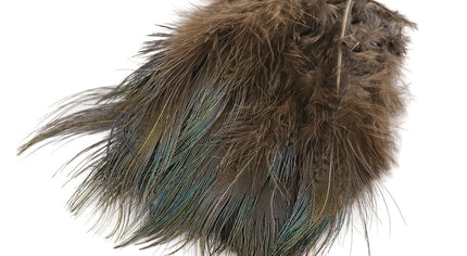 Strung Ringneck Pheasant Rump