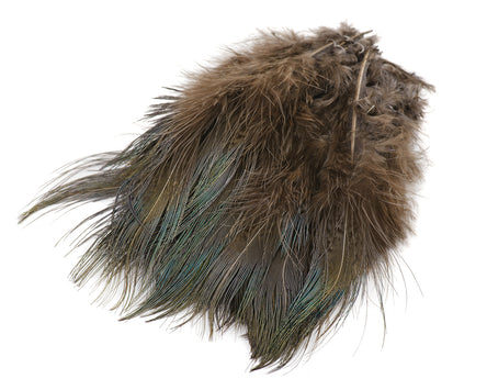 Strung Ringneck Pheasant Rump