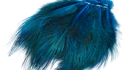 Strung Ringneck Pheasant Rump