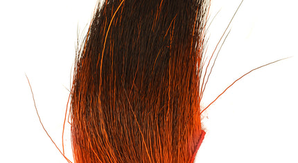Speckled Moose Body