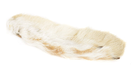 Snowshoe Rabbit Foot