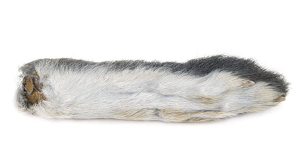 Snowshoe Rabbit Foot
