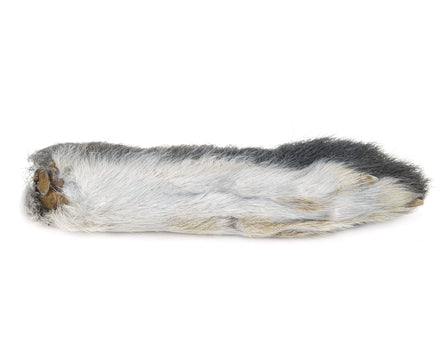 Snowshoe Rabbit Foot