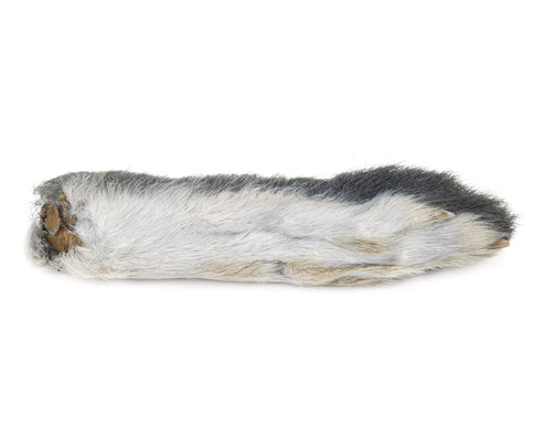 Snowshoe Rabbit Foot