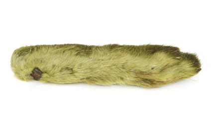 Snowshoe Rabbit Foot