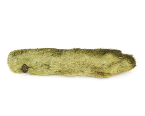 Snowshoe Rabbit Foot