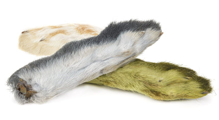 Snowshoe Rabbit Foot