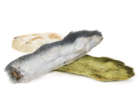 Snowshoe Rabbit Foot