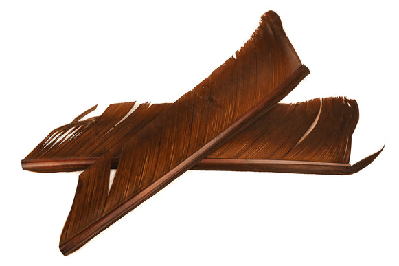 Turkey Biot Quills