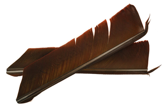 Turkey Biot Quills