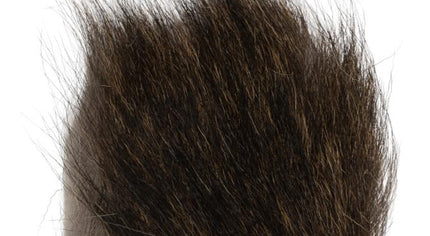 Chamois