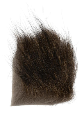 Chamois