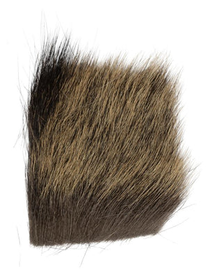 Chamois