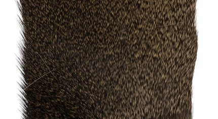 Capriolo