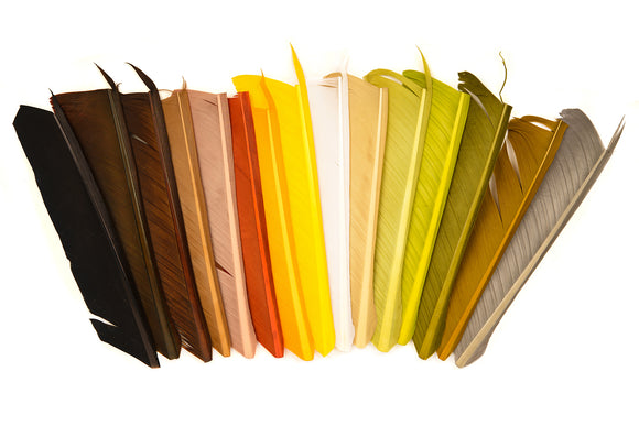 Turkey Biot Quills