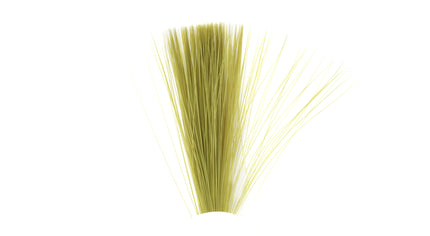 Tail Fibre Fibbets