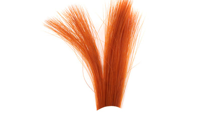 Tail Fibre Fibbets
