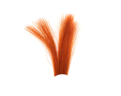 Tail Fibre Fibbets