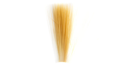 Tail Fibre Fibbets
