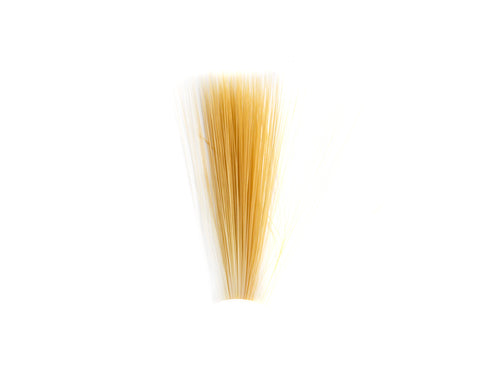 Tail Fibre Fibbets