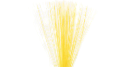 Tail Fibre Fibbets
