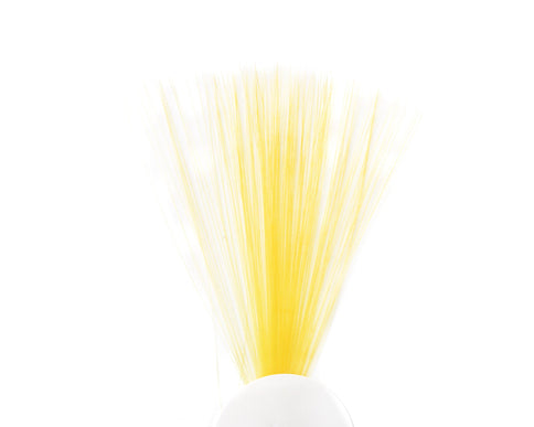Tail Fibre Fibbets