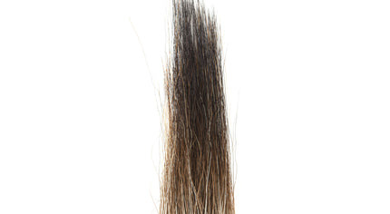 Moose Mane