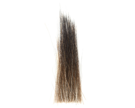 Moose Mane