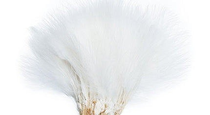 Wolly Bugger Marabou