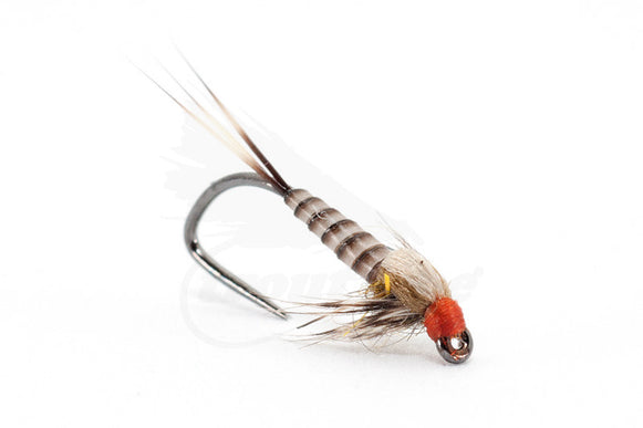 Stripped Peacock Quill